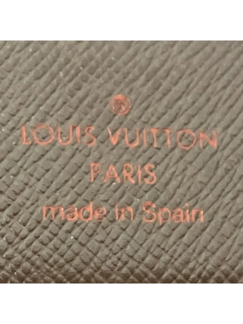 Louis Vuitton brand louis